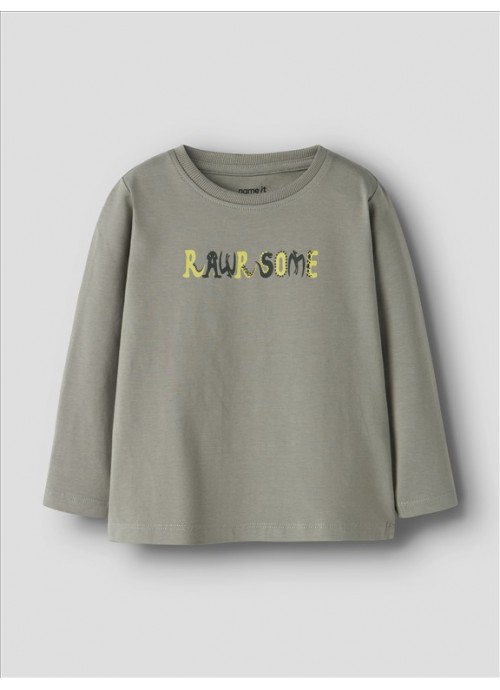 15255-Μπλούζα rawrsome Name It